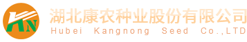 乐玩游戏大厅