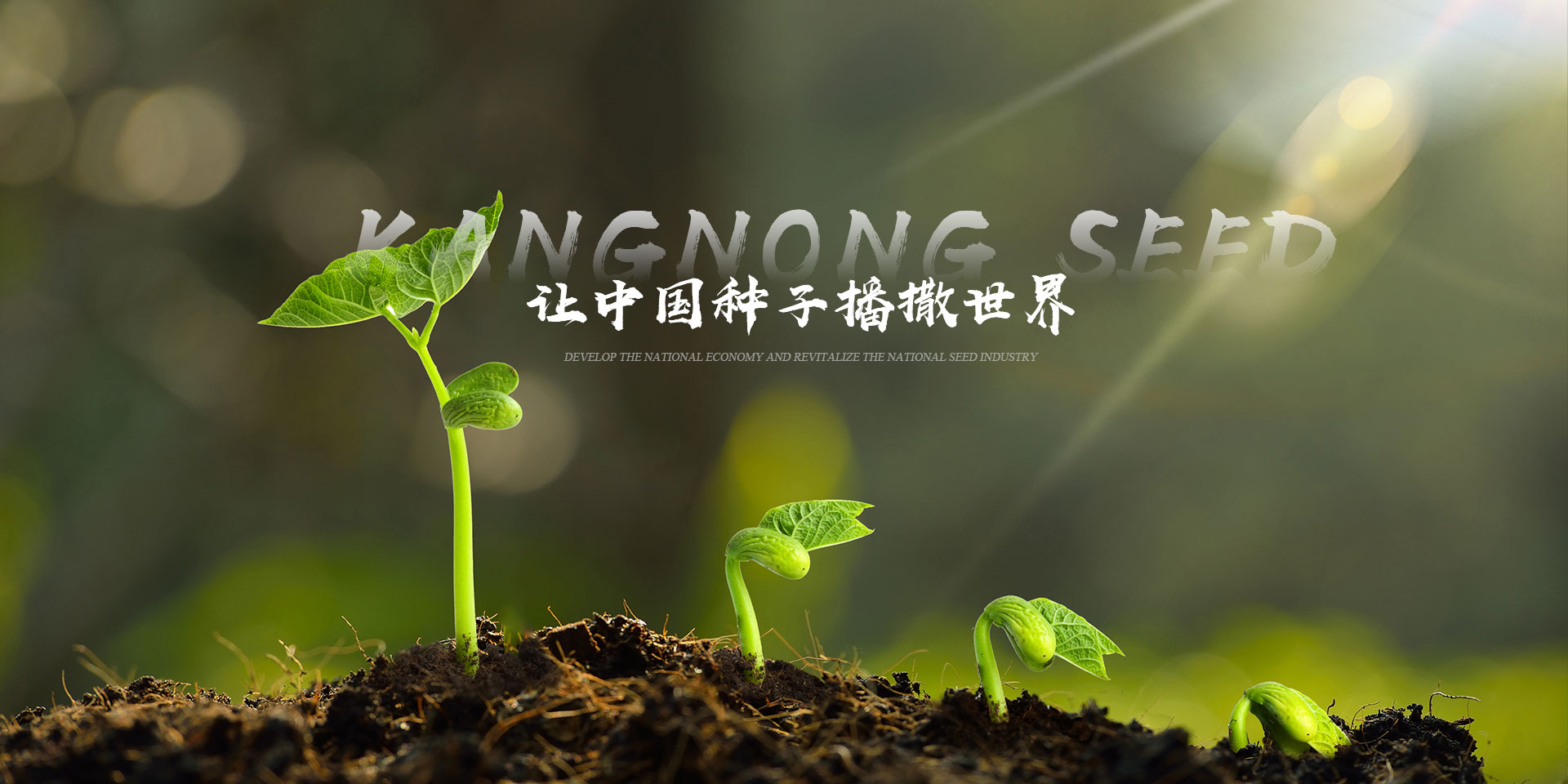 乐玩游戏大厅