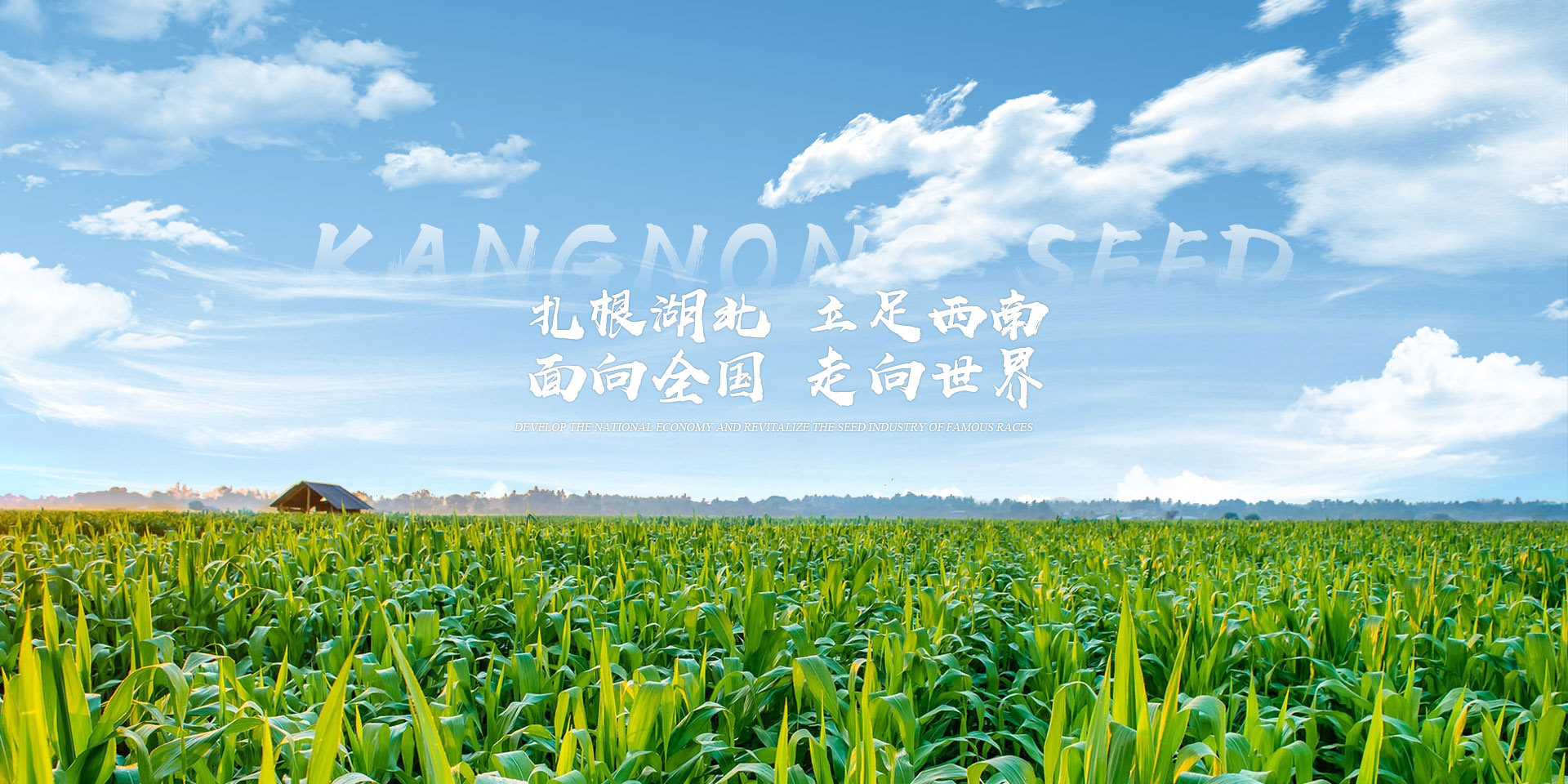 乐玩官网平台入口