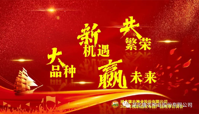 乐玩游戏大厅:消暑天花板：祁连山下 草原油菜花一键双赏